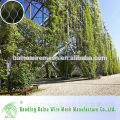 Malha de parede verde artificial de alta qualidade da China